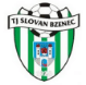 TJ Slovan Bzenec